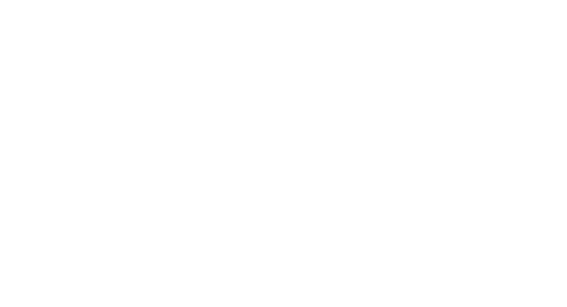 TMG Security